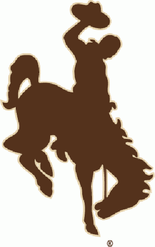 1965-Pres Wyoming Cowboys Primary Logo Iron On Sticker (Heat ...