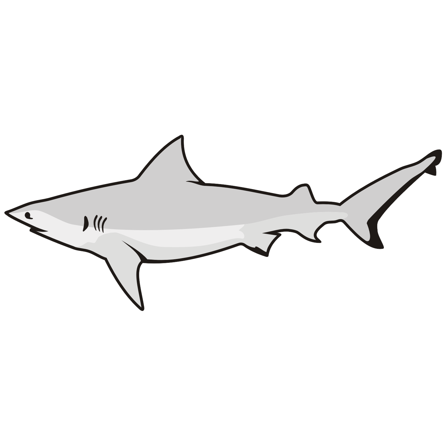 White Shark Free Vector - ClipArt Best