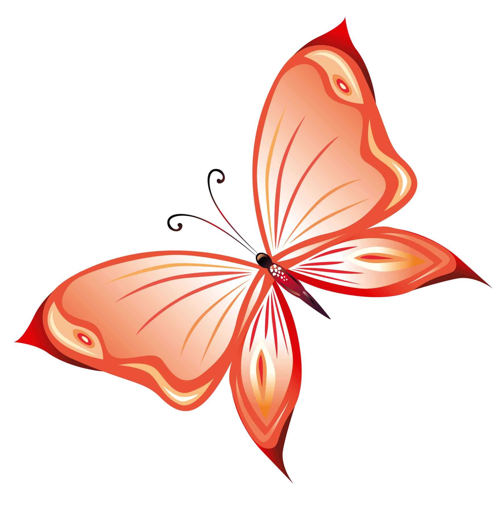 Butterfly Png Clipart - Free to use Clip Art Resource