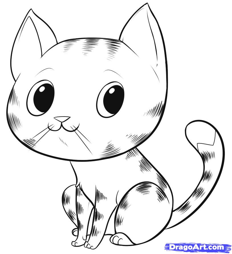 1000+ images about Cute stuff | Cat drawing, How to ...