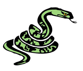 Rattlesnake Cartoon