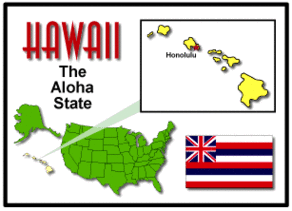 Hawaiis State Flower Clipart - Free to use Clip Art Resource