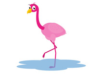 Search Results - Search Results for flamingo bird Pictures ...