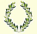 Olive-wreath-05-04.jpg