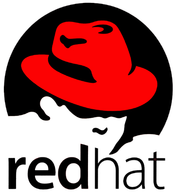 Red Hat: How They Developed a Big Idea That Shook Up A Huge Market -