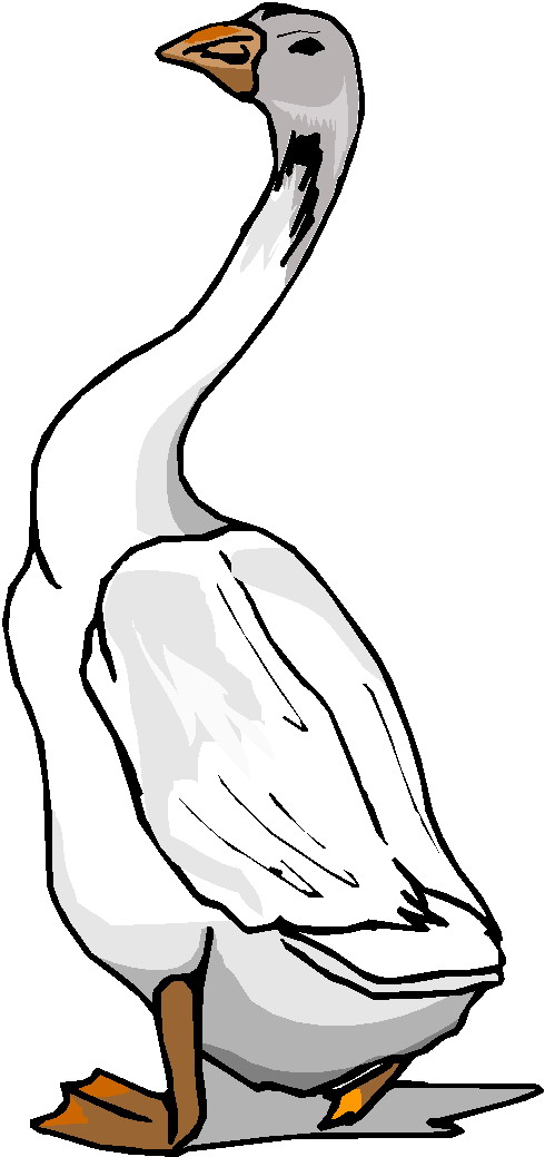 clipart of a goose - photo #24
