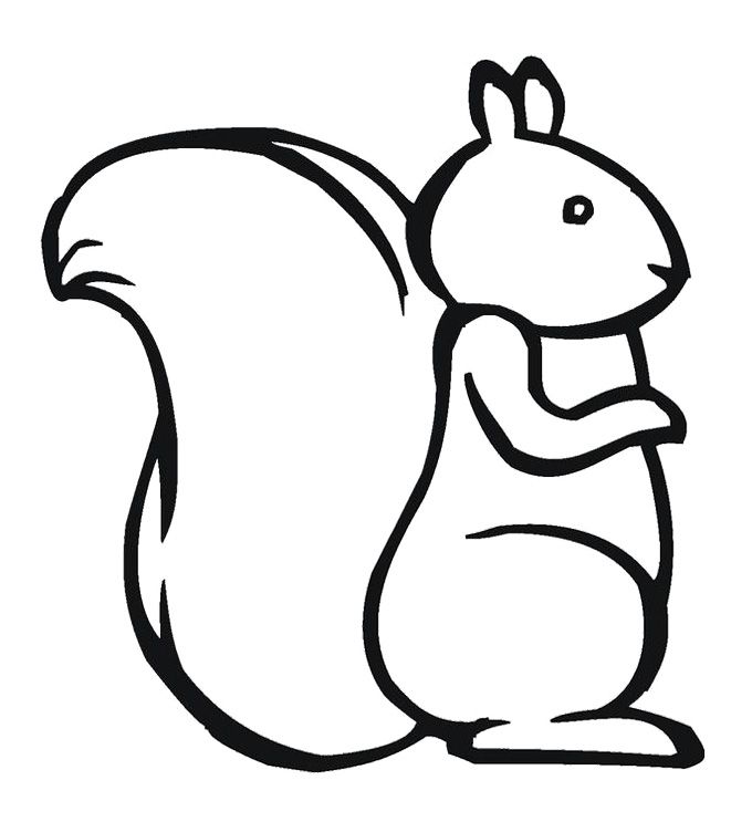 squirrel-template-clipart-best