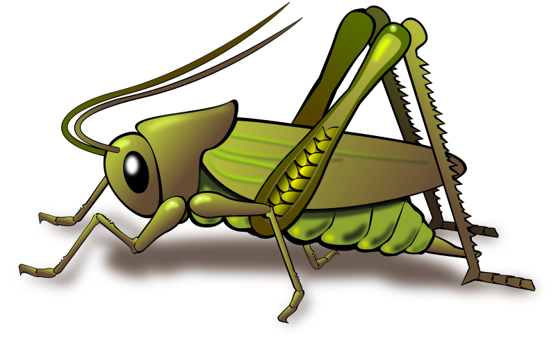 Animated Cricket Clipart