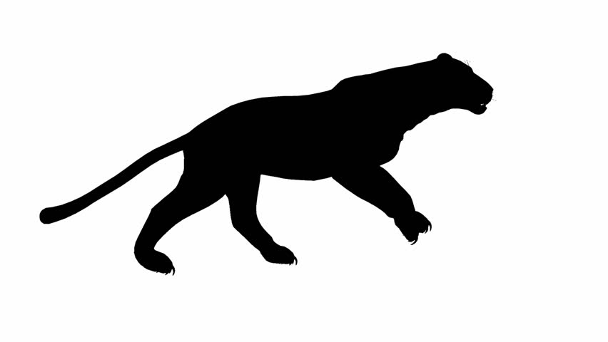 jaguar silhouette clip art - photo #35