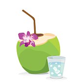 Coconut Drink Clip Art, Vector Images & Illustrations