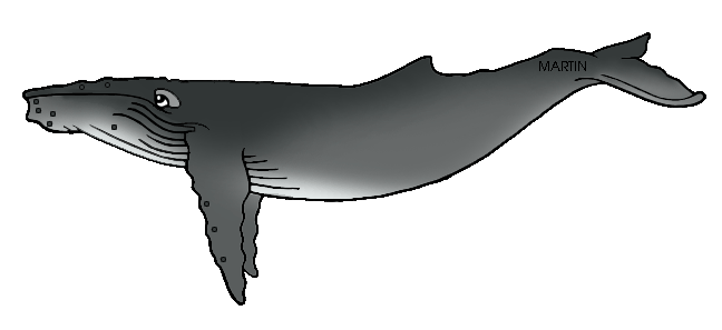 Humpback whale tails clipart - ClipartFox