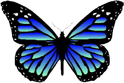 Beautiful Butterfly Tattoo | bow wow tattoos