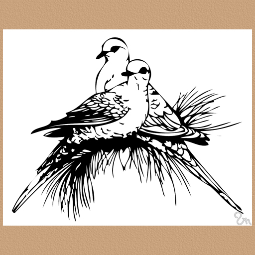 free clipart two turtle doves - photo #38