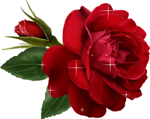 Rose Scraps, Rose Images, Animated Rose Glitter Graphics for Orkut ...