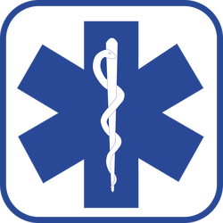 Star Of Life Blue logo vector