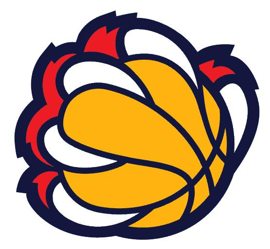 SAN DIEGO SABERS YOUTH BASKETBALL DEVELOPMENT LEAGUES