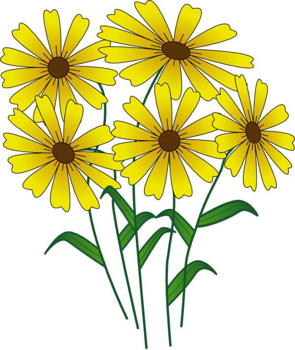 free flower drawings clip art - photo #33