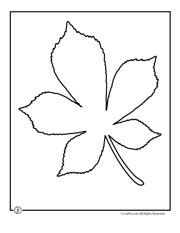 autumn-leaf-template-clipart-best