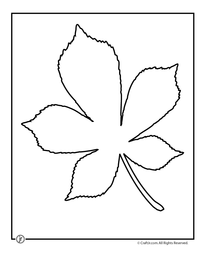 Leaf Template Printables | Craft Jr.