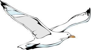 Flying Sea Gull Clip Art - vector clip art online ...