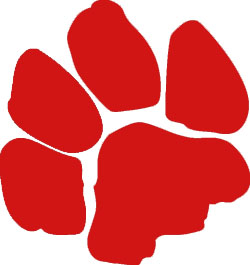 Wildcats Paw Print