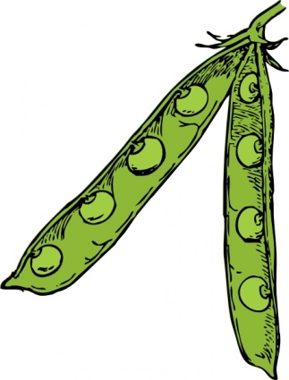 Green Bean Cartoon - ClipArt Best