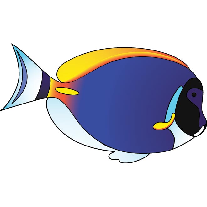 Fish Vector | Free Download Clip Art | Free Clip Art | on Clipart ...