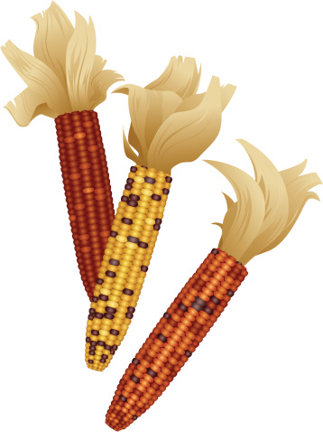 Indian Corn Clip Art, Vector Images & Illustrations