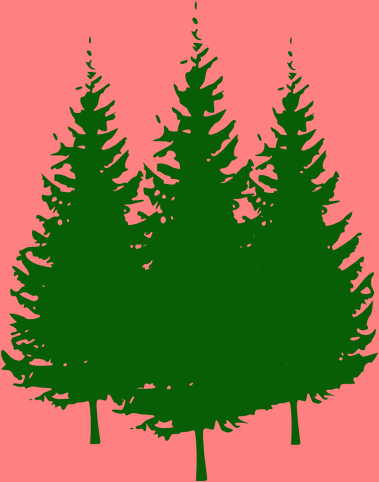Pine Tree Vector Free Download | Culturadecanarias Images Reference