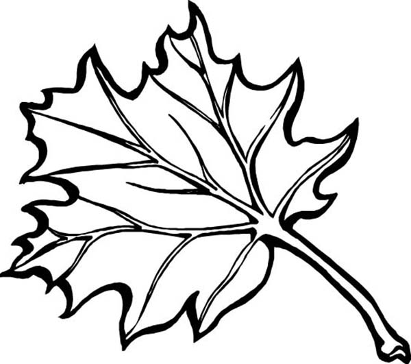 Maple Autumn Leaf Coloring Page | Kids Play Color
