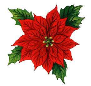 Free christmas flower clip art - ClipartFox