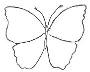 butterfly-template.jpg