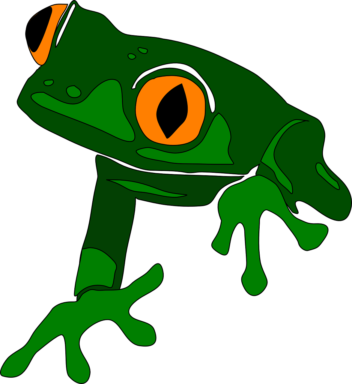 jumping frog clipart - photo #19