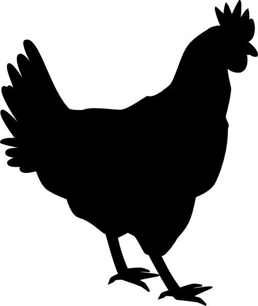 Chicken Outline | Free Download Clip Art | Free Clip Art | on ...