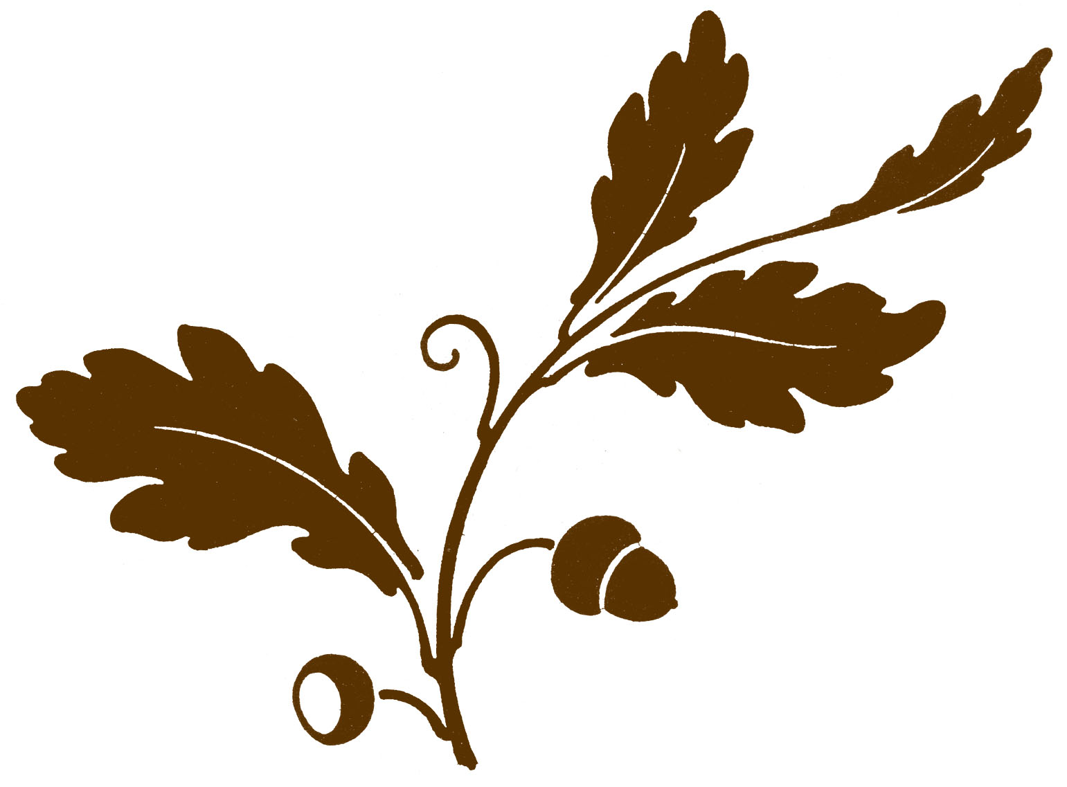Oak Leaf Logo - ClipArt Best