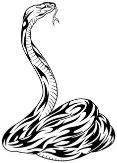 Cobra tattoo, The o'jays and Art