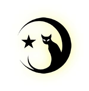 Moon Star Tattoo | Star Tattoos ...