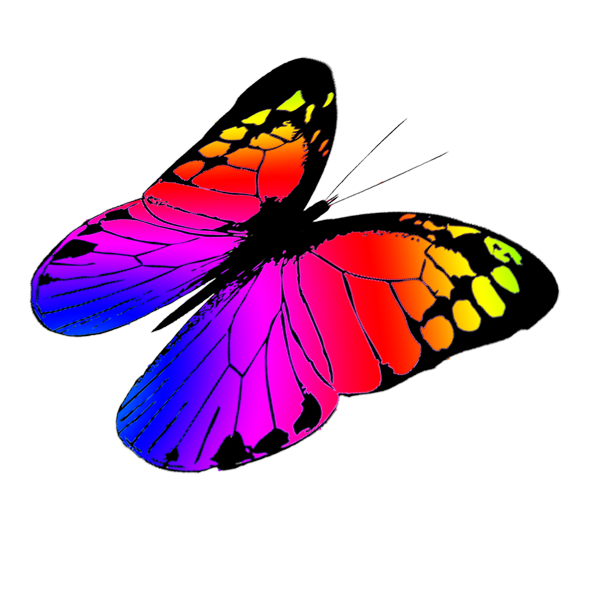 Butterfly Clipart