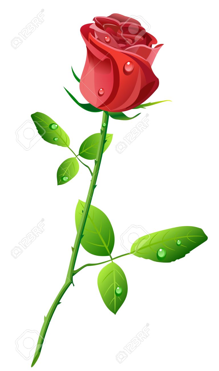 clipart long stem roses - photo #33