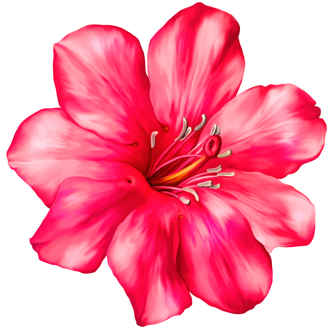 Exotic Pink Flower PNG Clipart Picture