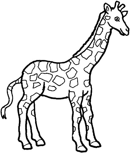 Giraffe outline clipart