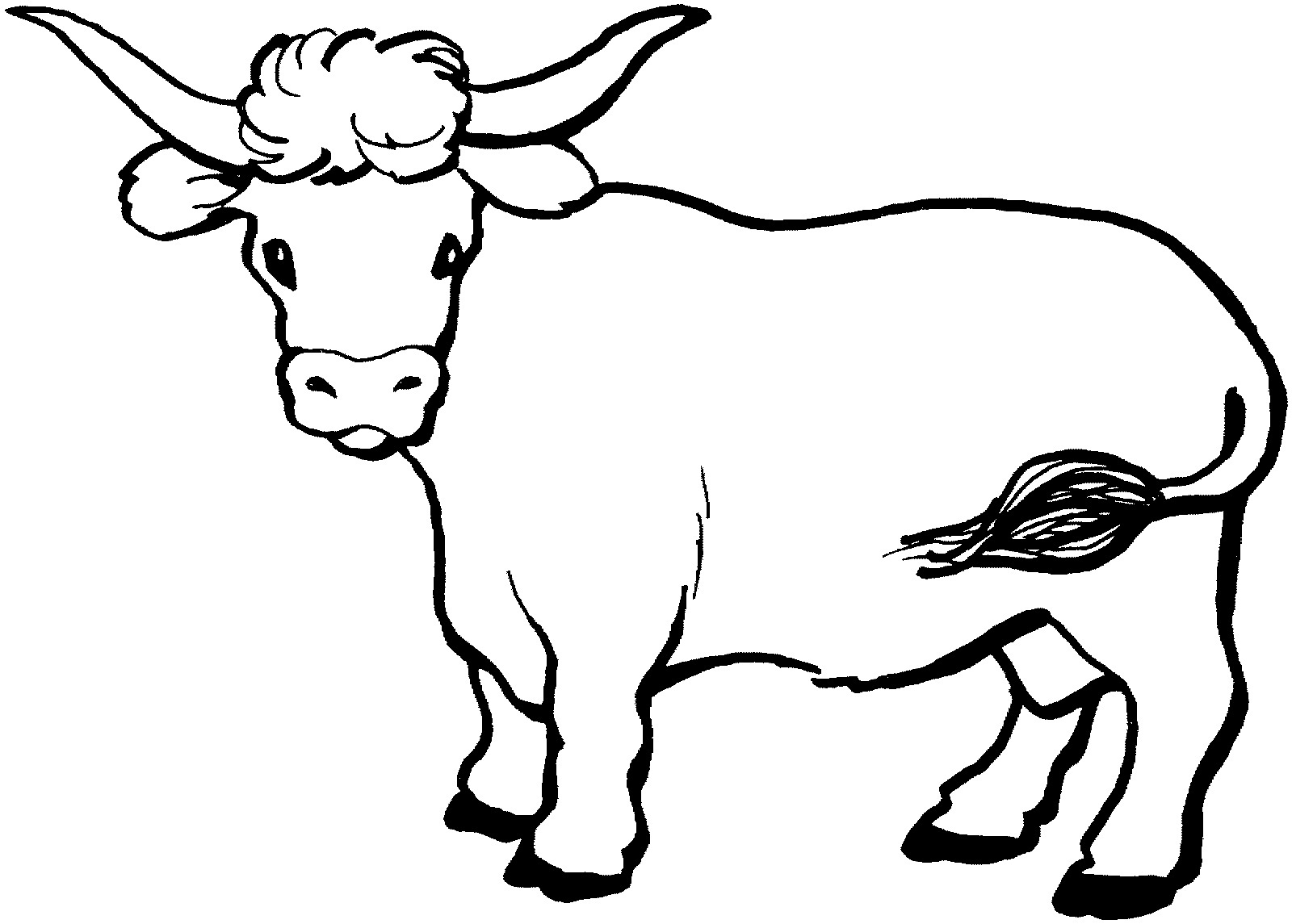 Cattle Coloring Pages - ClipArt Best