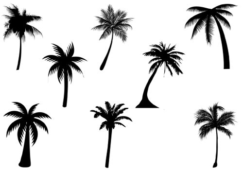 Palm Tree Silhouette Vector Graphics | Palms | Pinterest
