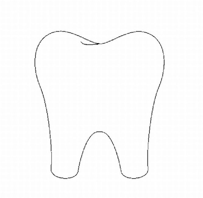 Tooth white outline clipart