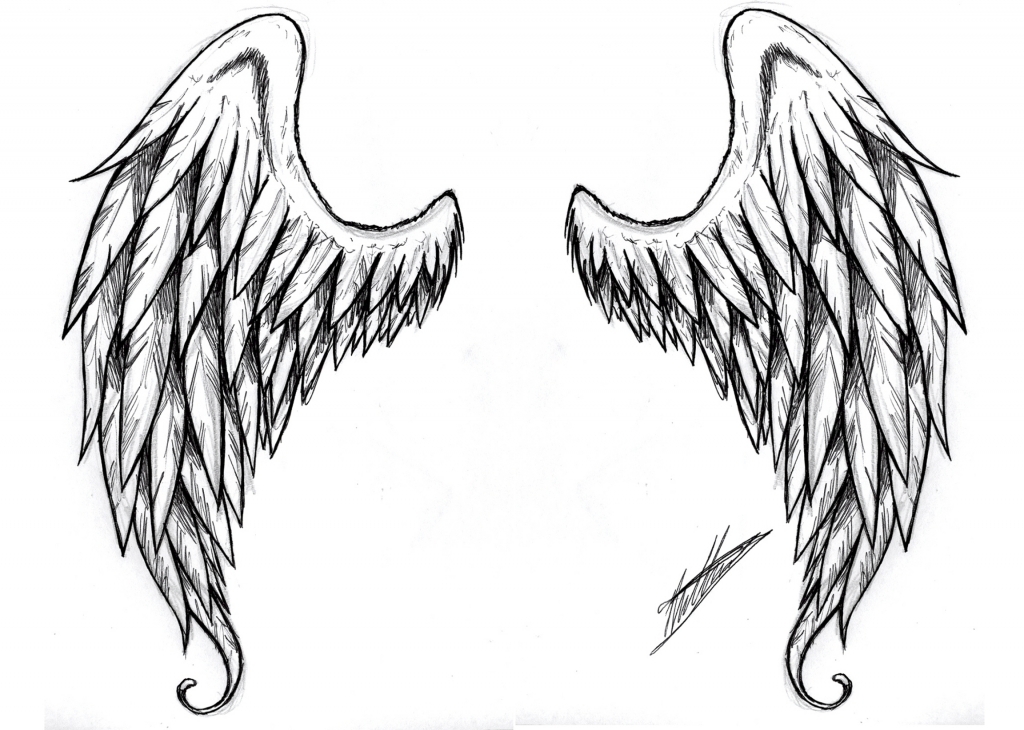 Angel Wing Drawing - Drawing Pencil