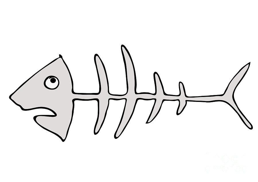 631 views skeleton fish clipart