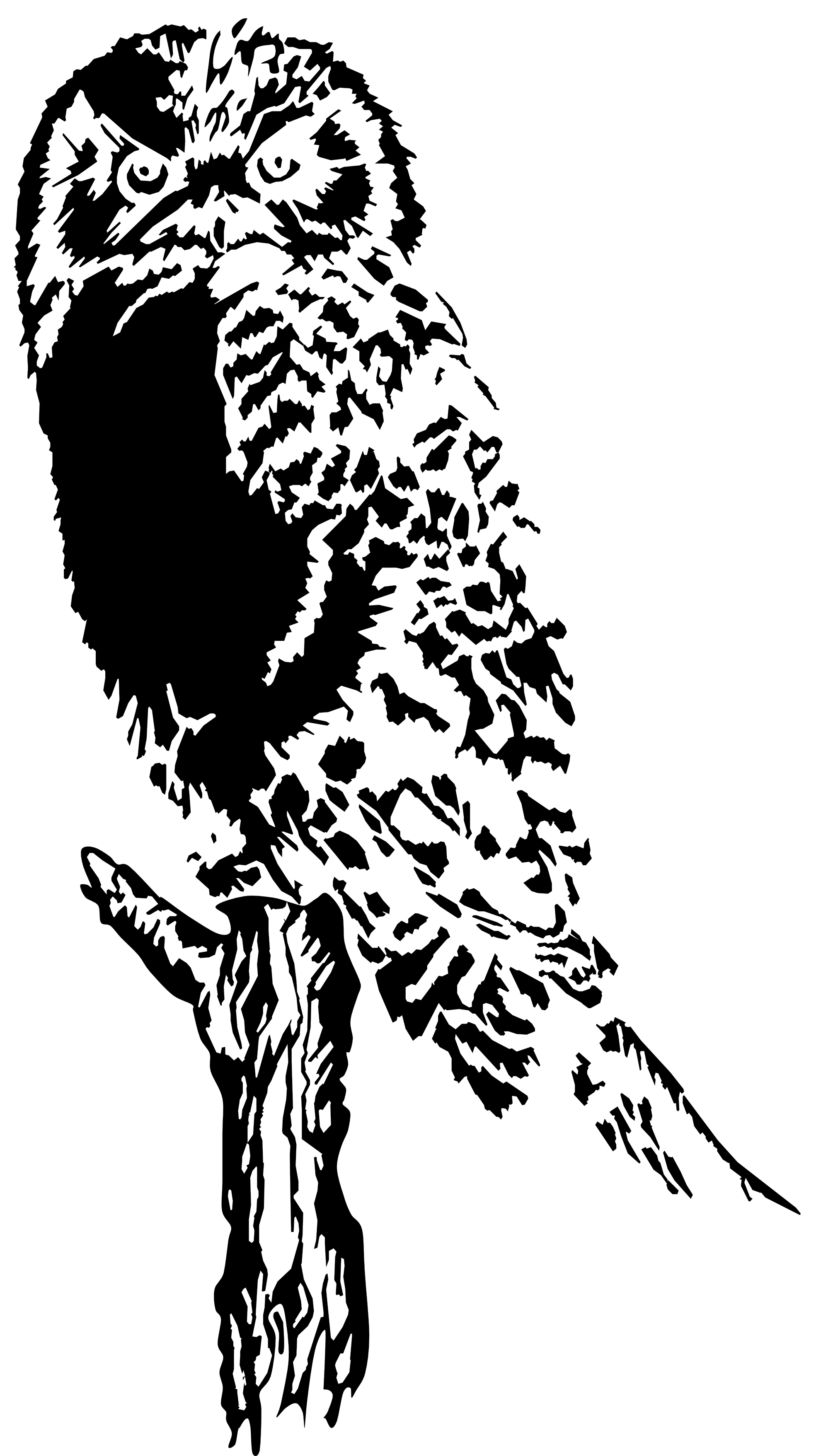 owl stylized black white line art coloring book ...