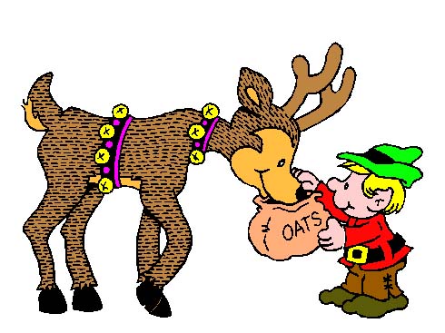 A lesson in reindeer… - Santa Photos