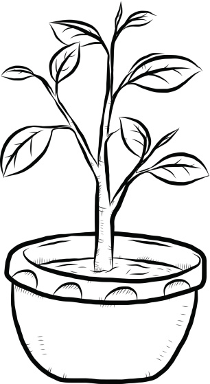 clipart plants black and white - photo #37