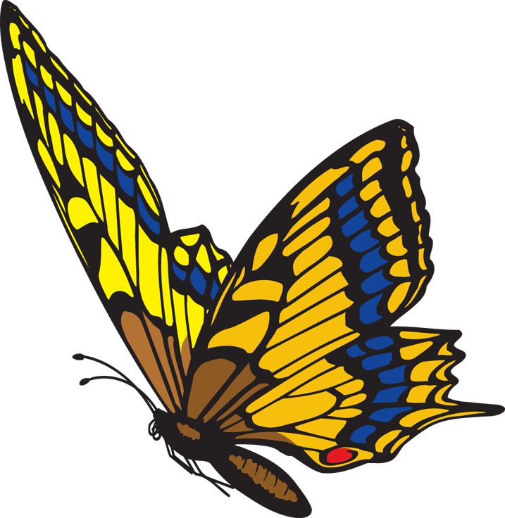 Butterfly Flying Clipart - Free Clipart Images